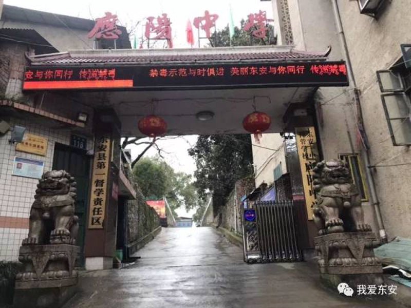 东安人才网上如何找到心仪工作？——故事叙述类